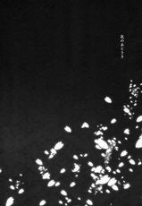 (C84) [Douganebuibui (Aburidashi Zakuro)] Hana no Atosaki (Senran Kagura) [2nd Edition 2013-08-25]-(C84) [ドウガネブイブイ (あぶりだしざくろ)] 花のあとさき (閃乱カグラ) [2版 2013年08月25日]
