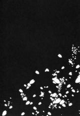 (C85) [Douganebuibui (Aburidashi Zakuro)] Futari Iro (Kantai Collection) [English] [laruffi]-(C85) [ドウガネブイブイ (あぶりだしざくろ)] 二人色 (艦隊これくしょん-艦これ-) [2版 2014年01月13日] [英訳]
