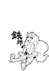(Kemoket 3) [Mercuro (Risuou)] Korou no Kaigyaku (Gingitsune)-(けもケット3) [ま～きゅろ (李子昴)] 狐狼の諧謔 (ぎんぎつね)