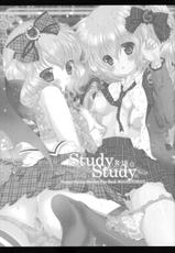 (Reitaisai 10) [Setoran (Itou Seto, Tanno Ran)] Study Study (Touhou Project)-(例大祭10) [せとらん (イトウペコ, タンノポコ)] Study Study (東方Project)