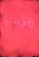 (C76) [Nakayohi (Izurumi)] Miesugi T(Test) Plugsuit (Rebuild of Evangelion)-(C76) [なかよひ (いづるみ)] 見えすぎT(テスト)プラグスーツ (ヱヴァンゲリヲン新劇場版)