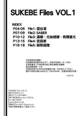 (COMIC1☆9) [Jitaku vacation (Ulrich)] SUKEBE Files VOL. 1 (Various) [Chinese] [final個人漢化]-(COMIC1☆9) [自宅vacation (うるりひ)] SUKEBE Files VOL.1 (よろず) [中国翻訳]
