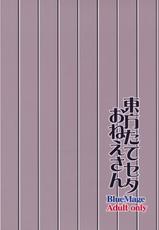 (Kouroumu 8) [BlueMage (Aoi Manabu)] Touhou Tateseta Oneesan (Touhou Project) [Chinese] [黑条汉化]-(紅楼夢8) [BlueMage (あおいまなぶ)] 東方たてセタおねえさん (東方Project) [中国翻訳]