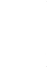 (C88) [Majimeya (Isao)] Getsu Ka Sui Moku Kin Do Nichi 9 Rei-chan no Aijin Nikki (Bishoujo Senshi Sailor Moon) [Chinese] [脸肿汉化组]-(C88) [真面目屋 (Isao)] 月火水木金土日9 レイちゃんの愛人日記 (美少女戦士セーラームーン) [中国翻訳]