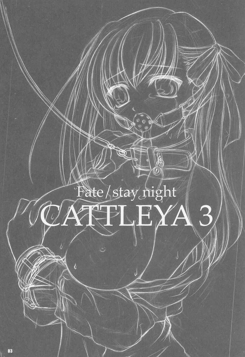 [Yakan Hikou] Cattleya 3 (Fate Stay Night) 