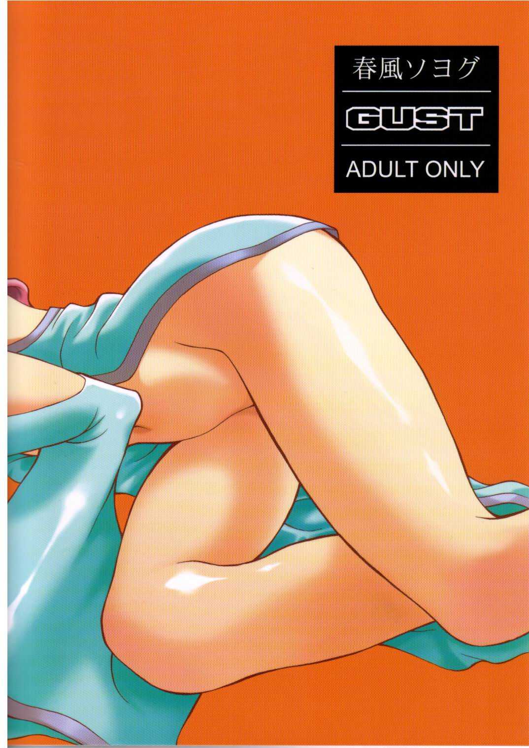 [Gust] Sternness 1 [Gundam Seed] 