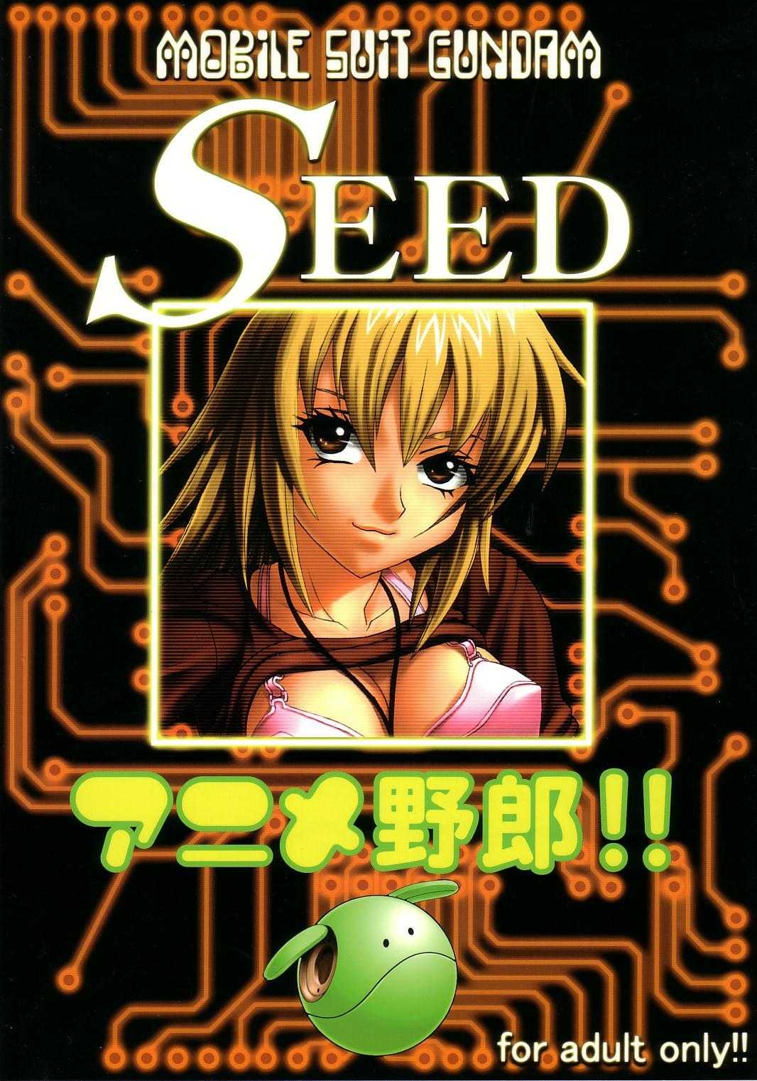 [St. Rio] Seed Phase 03 [Gundam Seed] 