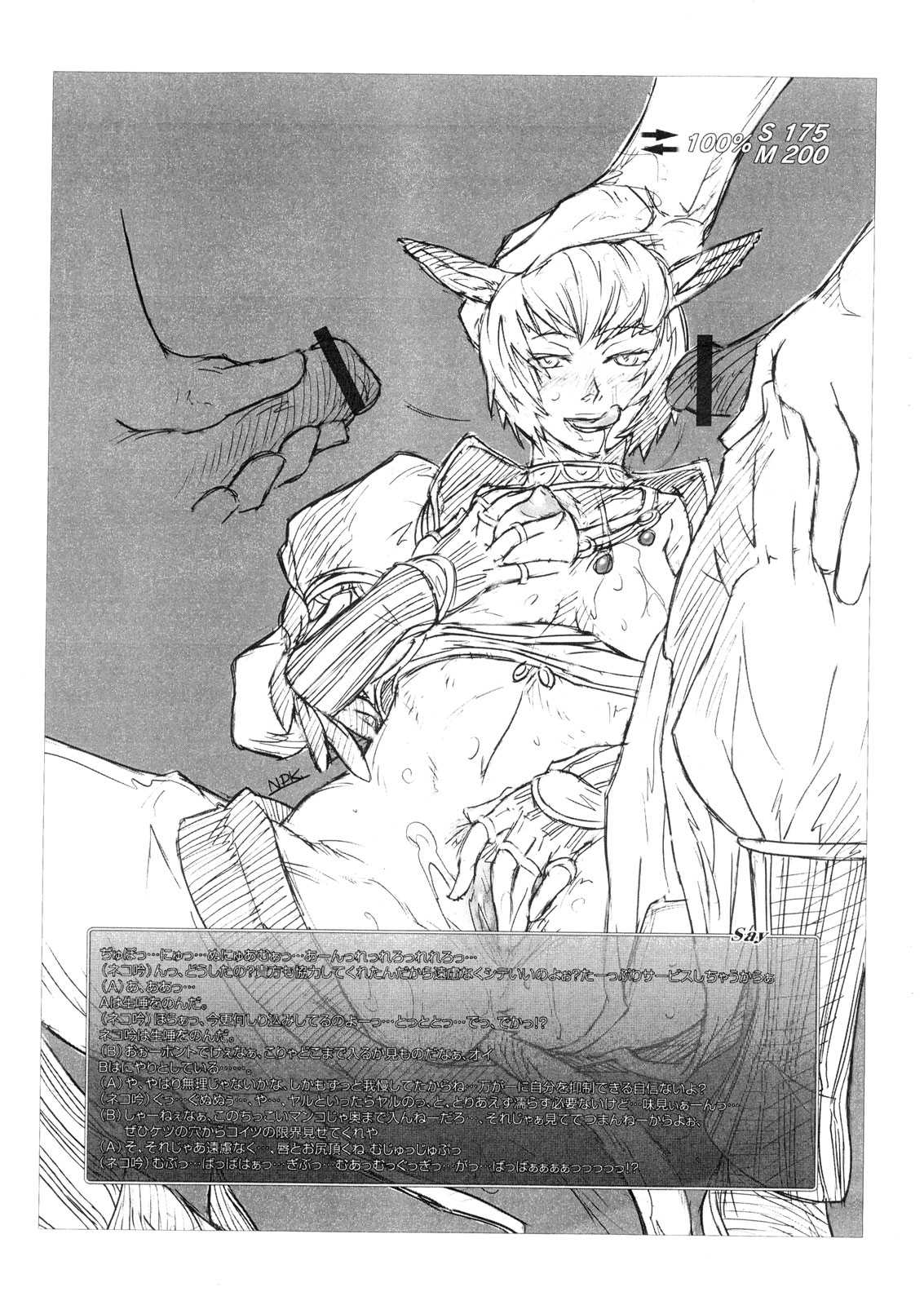 [NP Uirusu Jouryuujo] Mithman Report 2005 (Final Fantasy XI) 