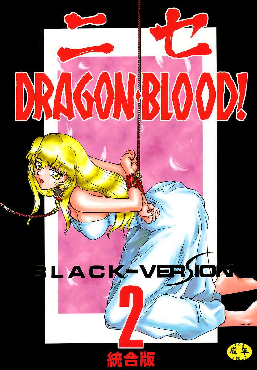 [Hajime Taira] Nise Dragon Blood! 2 