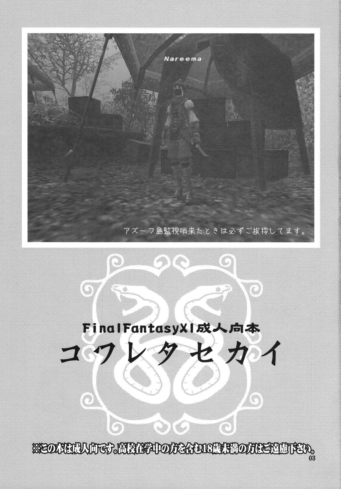 [Brough-Superior+Jikusando!] kowaretasekai {Final Fantasy 11} {masterbloodfer} 