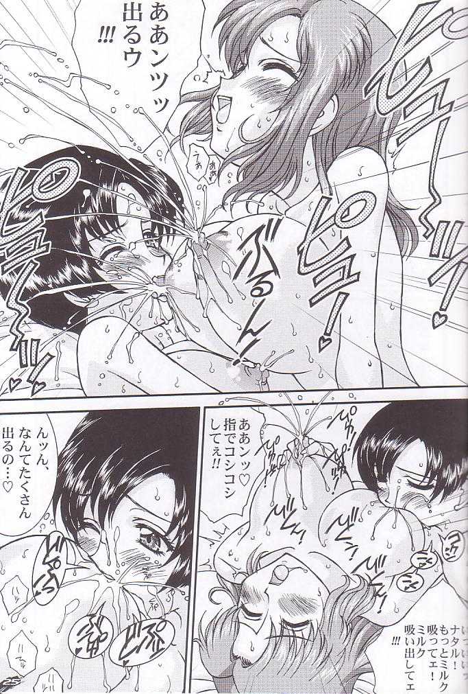 [Luck&amp;Pluck] Archangel ga Miteru 2 - Kaze no Koibito (Gundam Seed) 