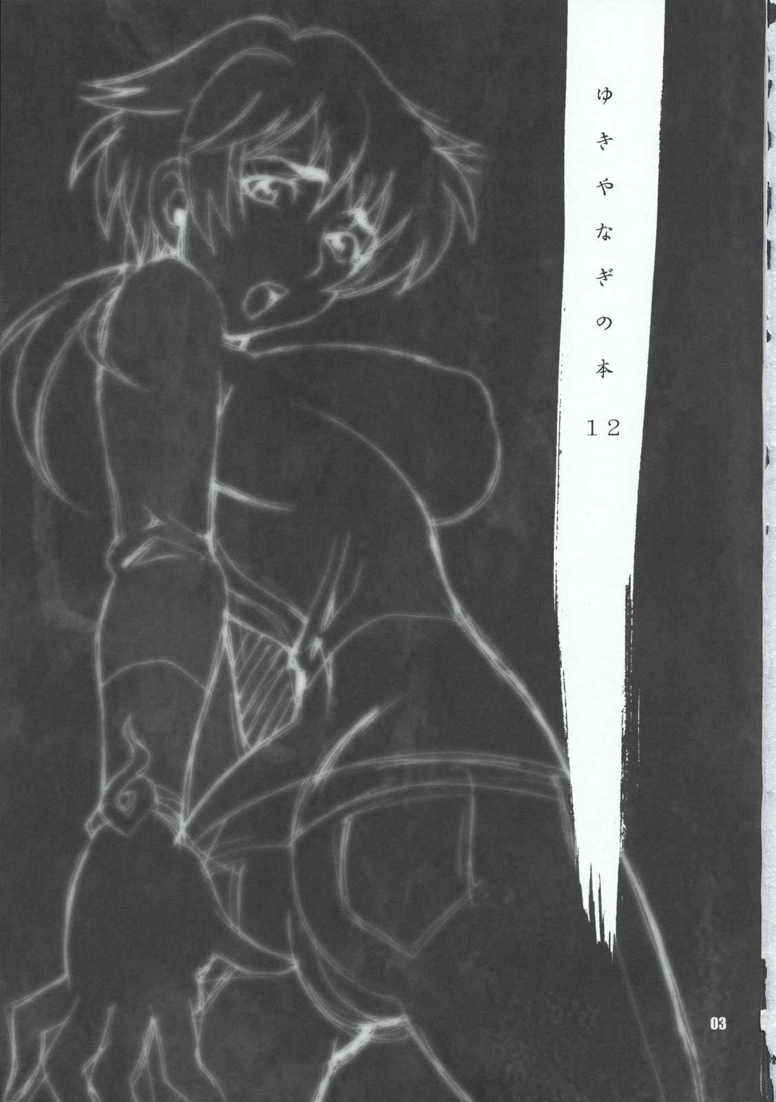 [Charlotte koko] Yukiyanagi book 12 your ecstasy (Witchblade) 