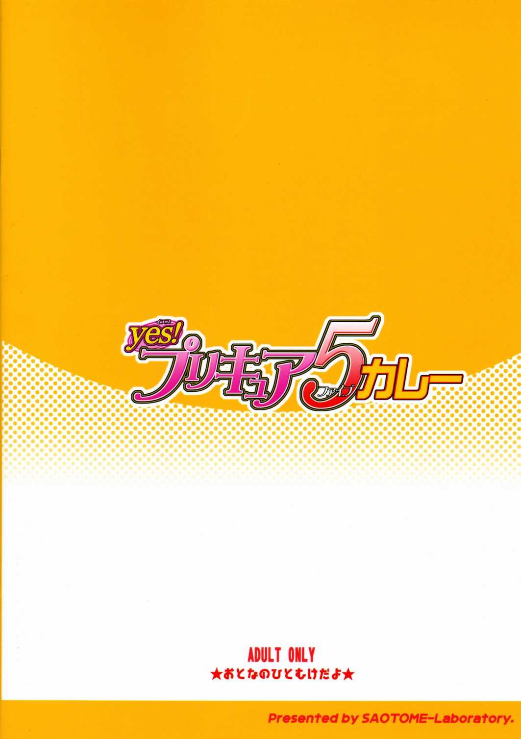 (C72) [SAOTOME-Laboratory (Saotome Mondo)] Yes! PRECURE-5 Curry (Yes! Precure 5) (C72) [早乙女けんきゅう所] Yes！プリキュア5カレー (スカトロ)