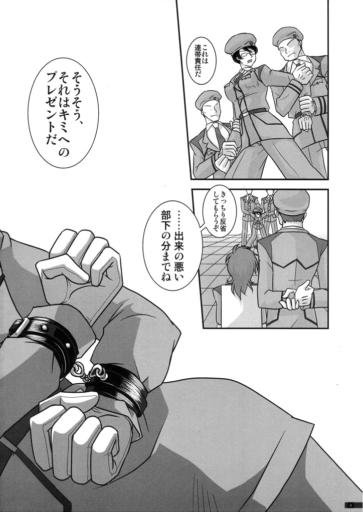 (SC40) [BRICOLA] Mannequin (Gundam 00) (SC40) [ブリコラ] マネキン