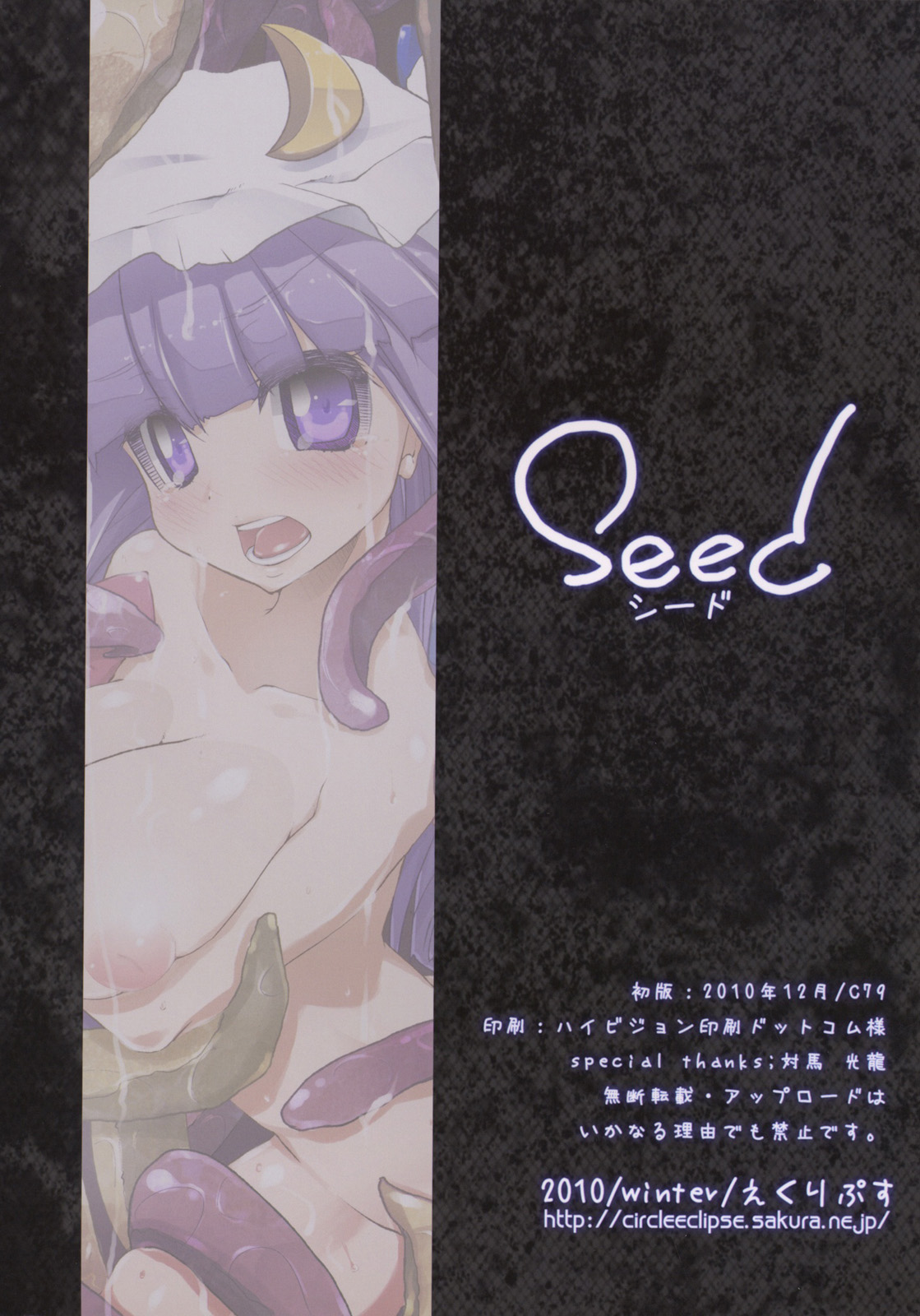 (C79) [Eclipse (Oborozuki)] seed (Touhou Project) (C79) [えくりぷす (朧月)] seed (東方Project)