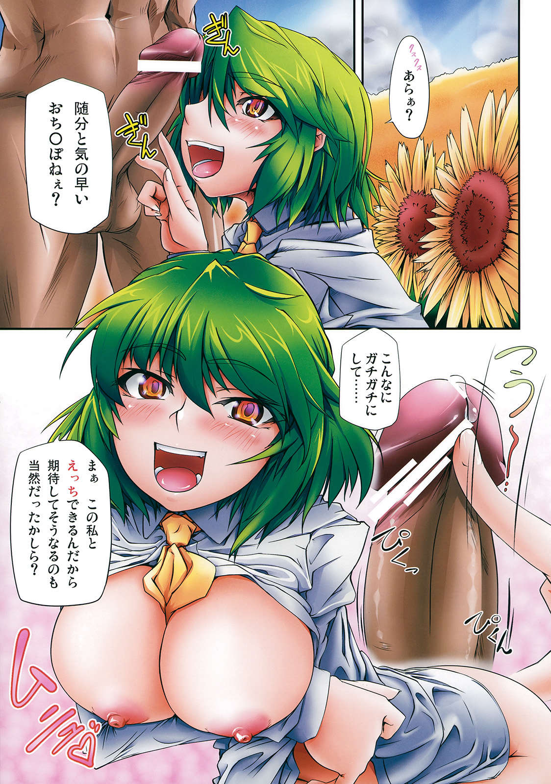 (C78) [Kaibidou (Mokei)] Colorful flower (Touhou Project) (C78) (同人誌) [快微動 (百景)] Colorful flower (東方)