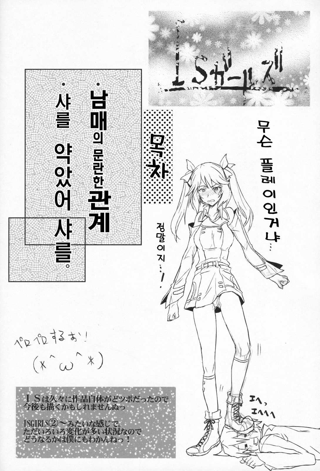 (COMIC1☆5) [RIBI Dou (Higata Akatsuki)] IS Girl&#039;s (Infinite Stratos) (korean) 