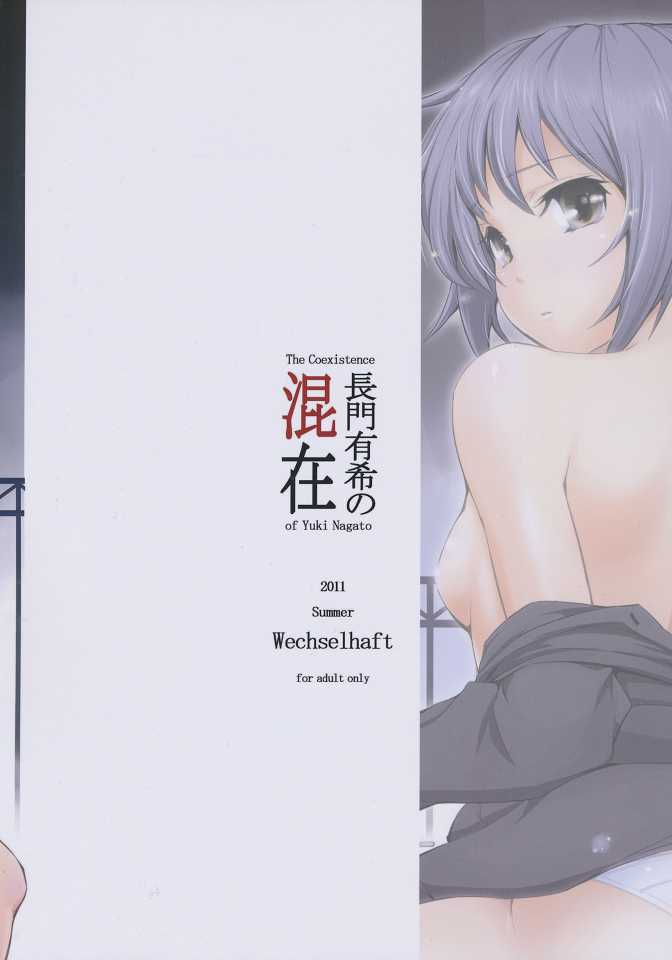 (C80) [Wechselhaft (Kima-gray)] The Coexistence of Yuki Nagato | Nagato Yuki no Konzai (The Melancholy of Haruhi Suzumiya) (C80) [Wechselhaft (Kima-gray)] 長門有希の混在 (涼宮ハルヒの憂鬱)
