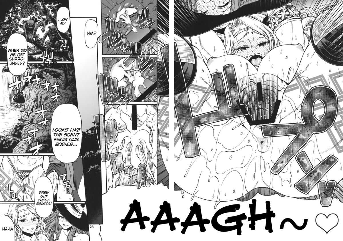 [Celluloid Acme] Party Hard (Dragon&#039;s Crown) [Eng] {doujin-moe.us} 