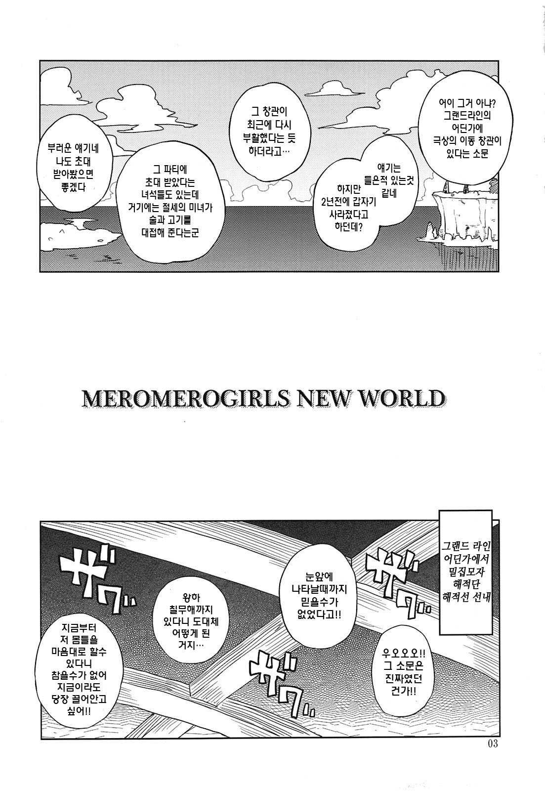 (C81) [Choujikuu Yousai Kachuusha (Denki Shougun)] MEROMERO GIRLS NEW WORLD (One Piece) (Korean) (C81) [超時空要塞カチューシャ(電気将軍)] MEROMERO GIRLS NEW WORLD (ワンピース) (Korean)