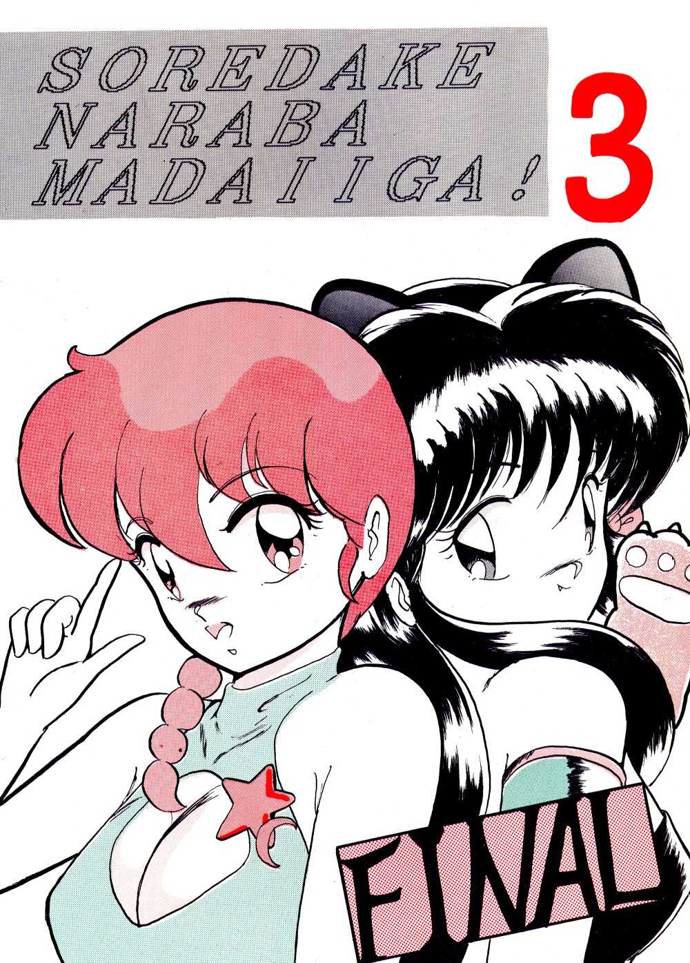 [Studio the Thing (Syouryu)] Soredake Naraba Madaiiga Vol.3 (Ranma 1/2) [スタジオ・ザ・シング (昇竜)] それだけならば、まだいいが VOL3 (らんま1/2)