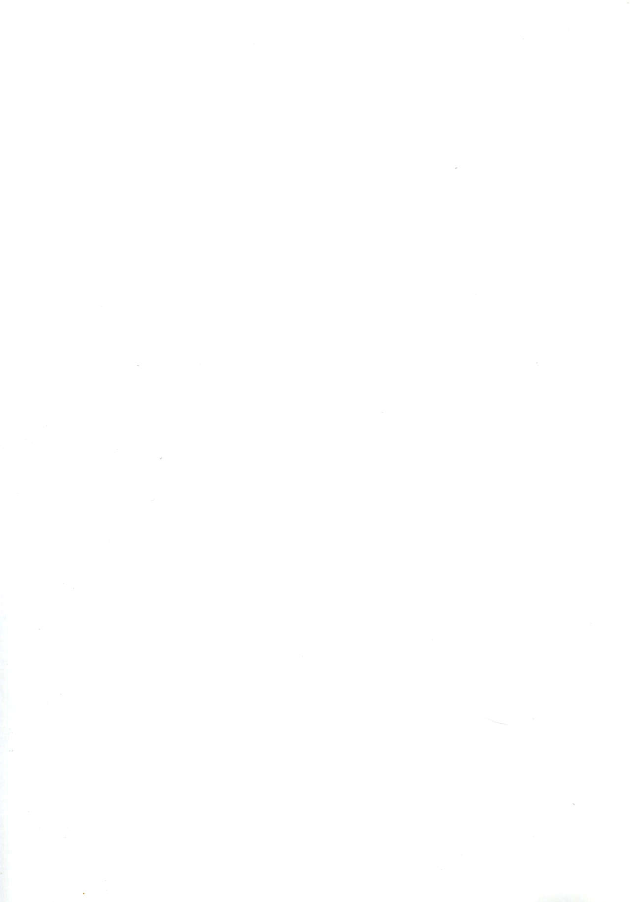 (C86) [Type-G, Studio Himawari (Himukai Kyousuke, Ishigaki Takashi)] UNISON [Lyrical ☆ Nanoha Goudoushi] (Mahou Shoujo Lyrical Nanoha) [Chinese] [无毒汉化组 ＆ 脸肿汉化组] (C86) [Type-G, スタジオ☆ひまわり (日向恭介, イシガキタカシ)] UNISON 【リリカル☆なのは合同誌】 (魔法少女リリカルなのは) [中国翻訳]