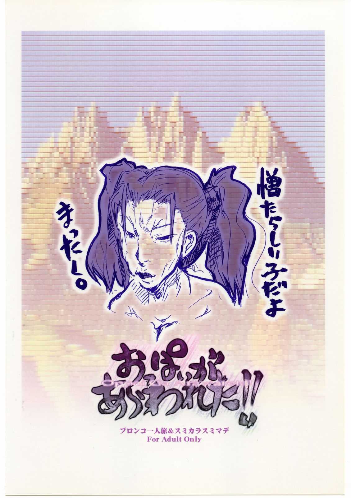 [Dragon Quest 8] Oppai Gaara Wareta (Bronco Hitoritabi) [ブロンコ一人旅] おっぱいがあらわれた