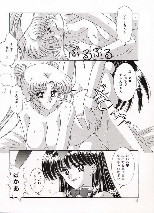 [Biki Takai] Watashi no Megamisama (Sailor Moon) 